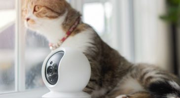 Les autres utilisations d'une caméra de surveillance
